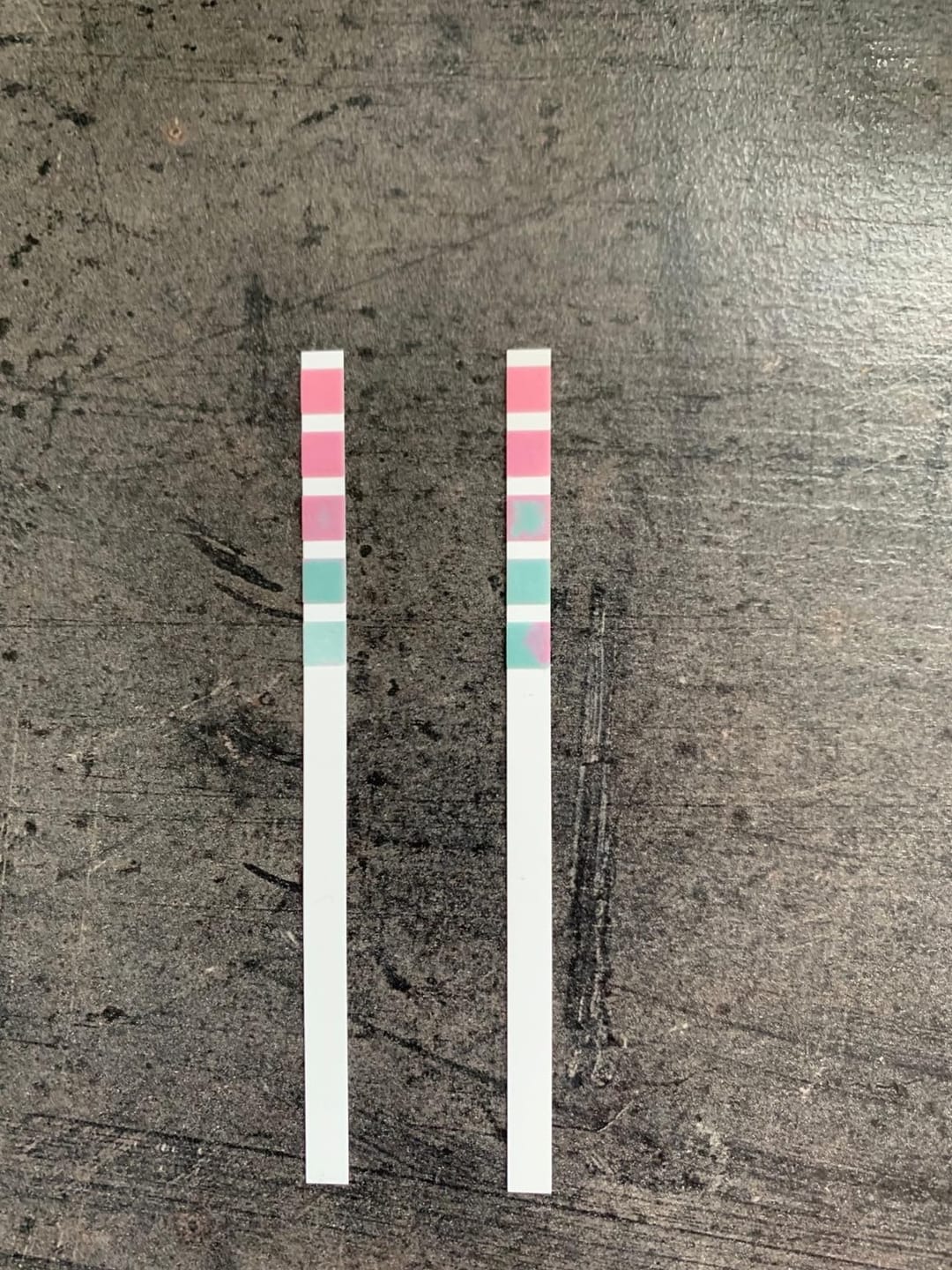 Customer photo review of klair Filter Duschkopf