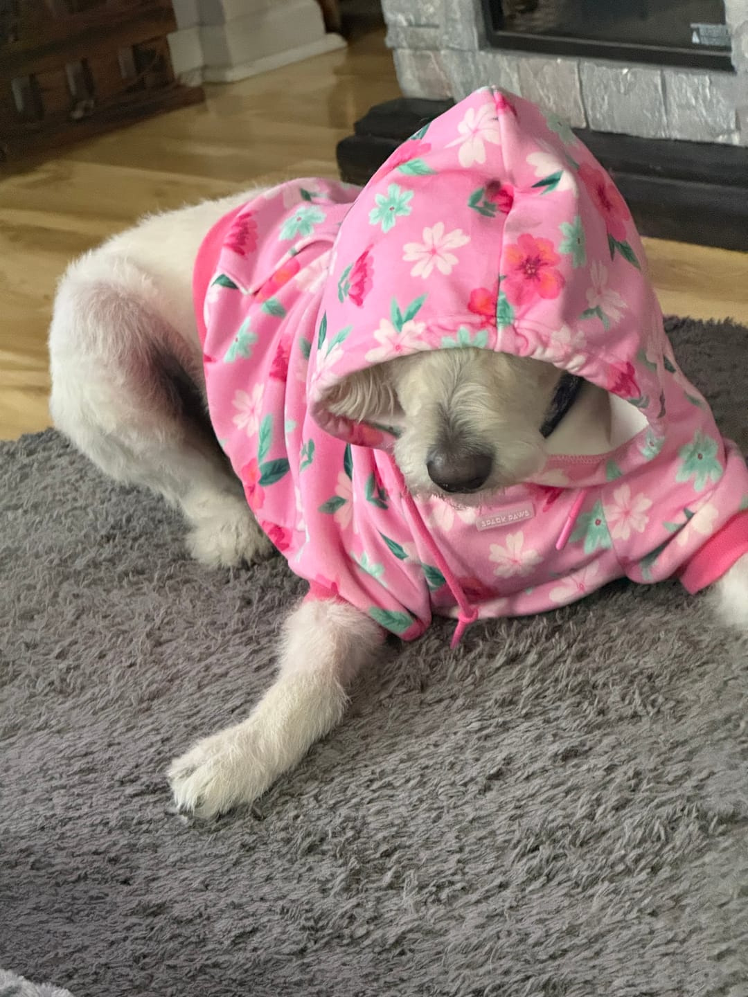 Customer photo review of Blossom Dog Hoodie - Pink