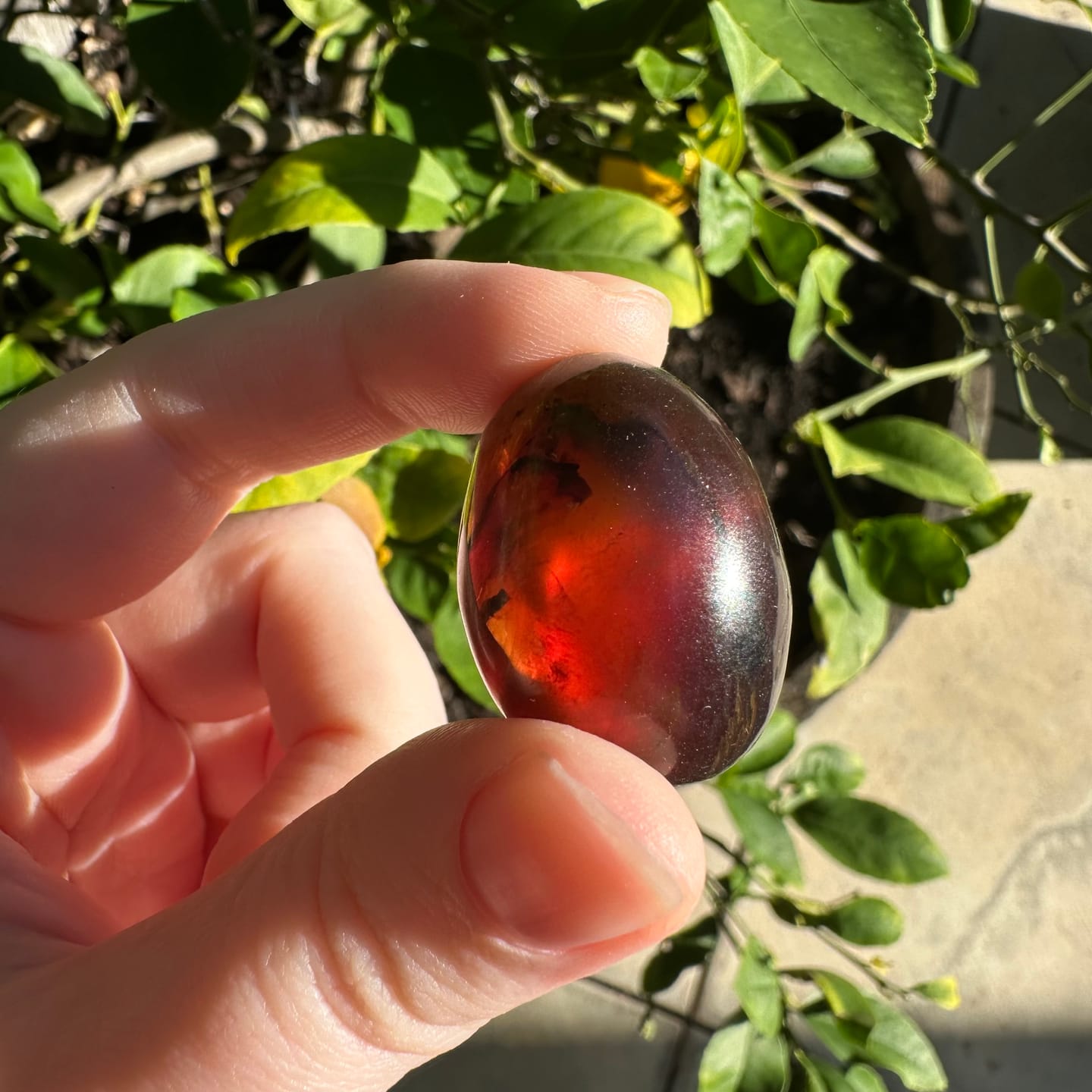 Customer photo review of Tumbled Blue Amber for Inner Light and Magic