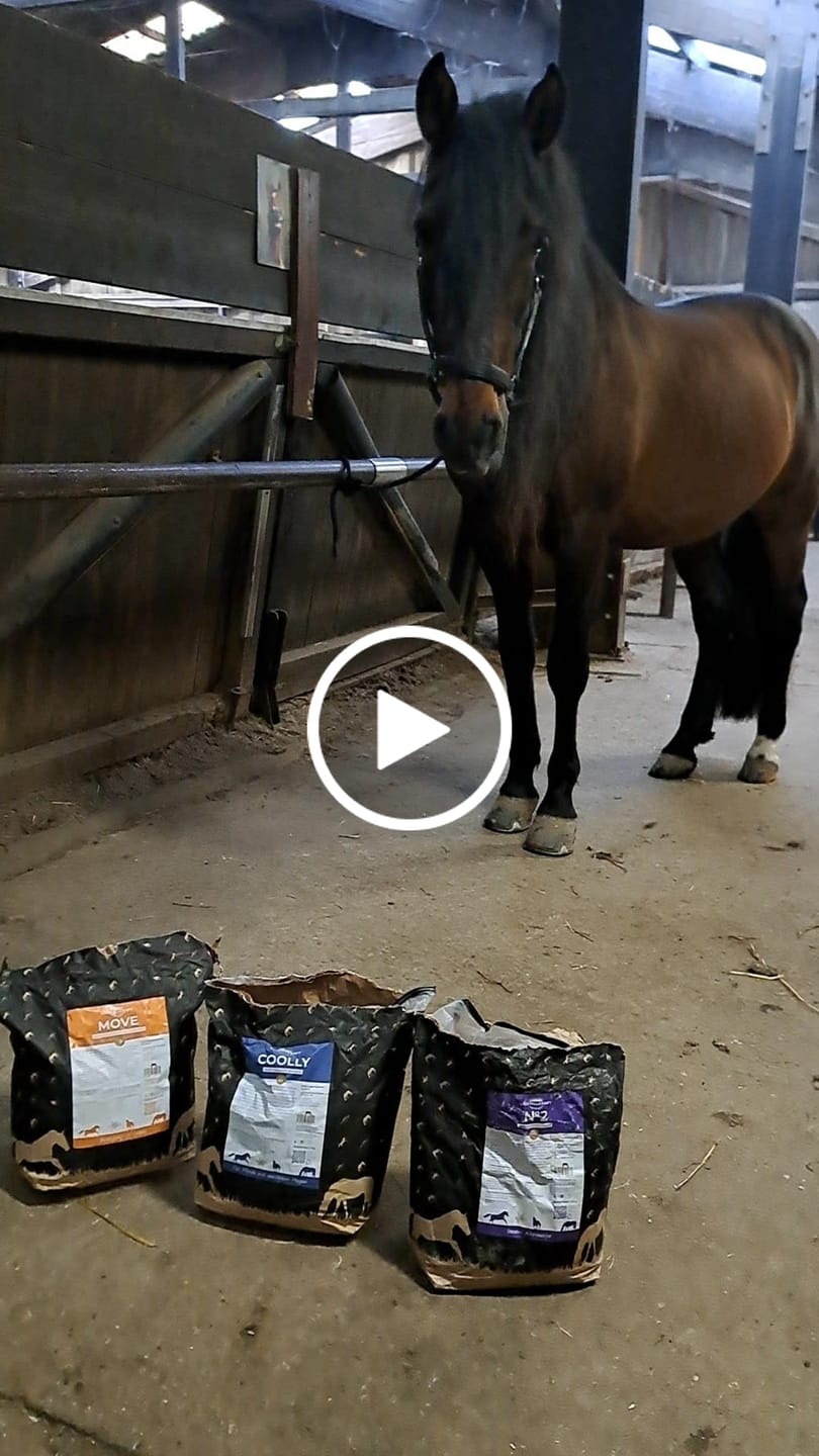 Customer video review of Kristallkraft Move