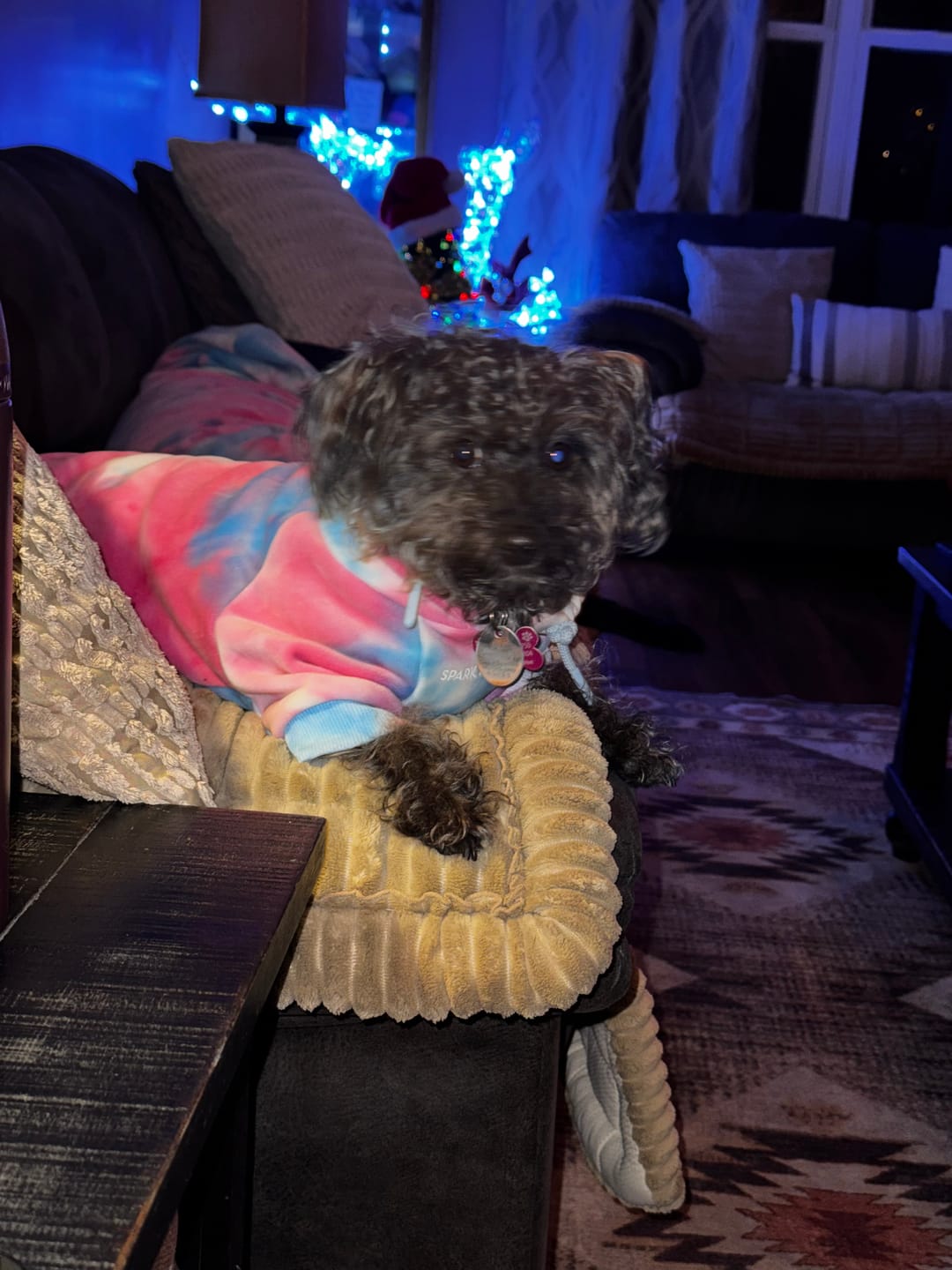 Customer photo review of Blossom Dog Hoodie - Pink