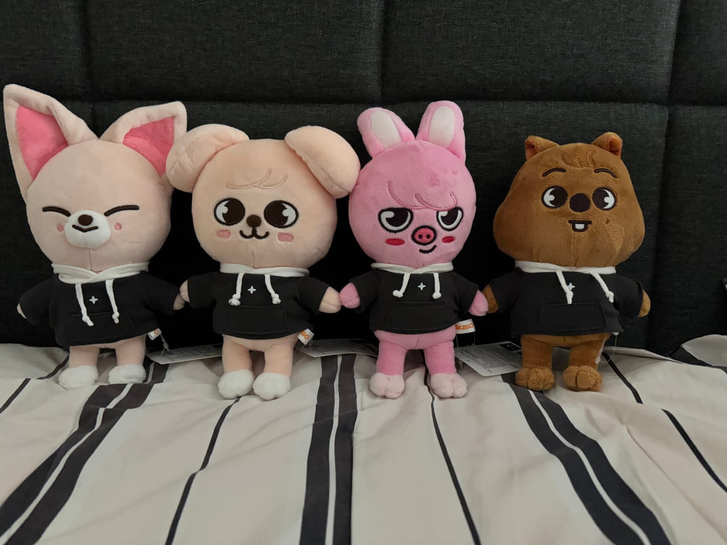 Customer photo review of STRAY KIDS - SKZ'S MAGIC SCHOOL OFFICIAL MD SKZOO PLUSH ORIGINAL VER.