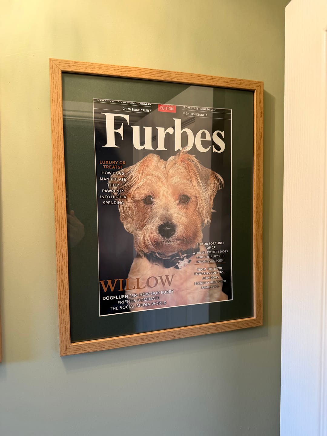 Customer photo review of Furbes - Personalised Poster