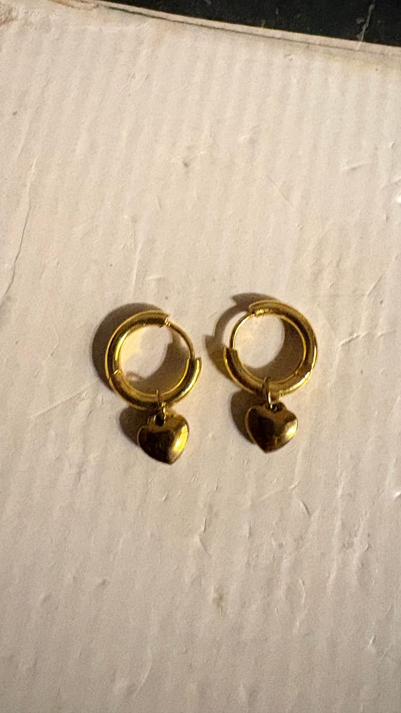 Customer photo review of Starlit Heart Embrace Hoops