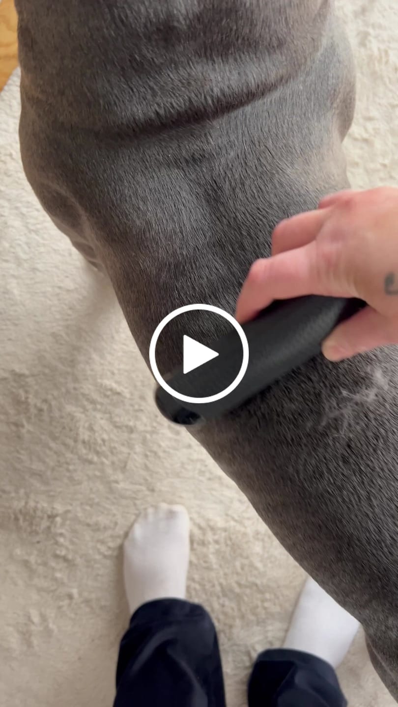 Customer video review of Hundstaff Pack Fur Comb - Hundkamm