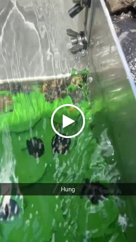 Customer video review of 8 inch Modular Gold sluice