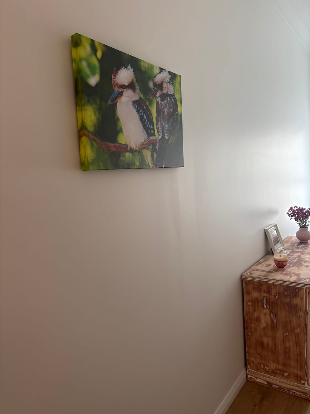 Customer photo review of Kookaburra Pair Canvas Art
