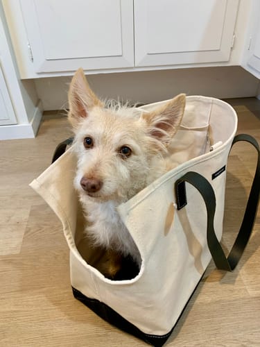 Customer photo review of Carpenter Bag Carrier  -  Various Colors