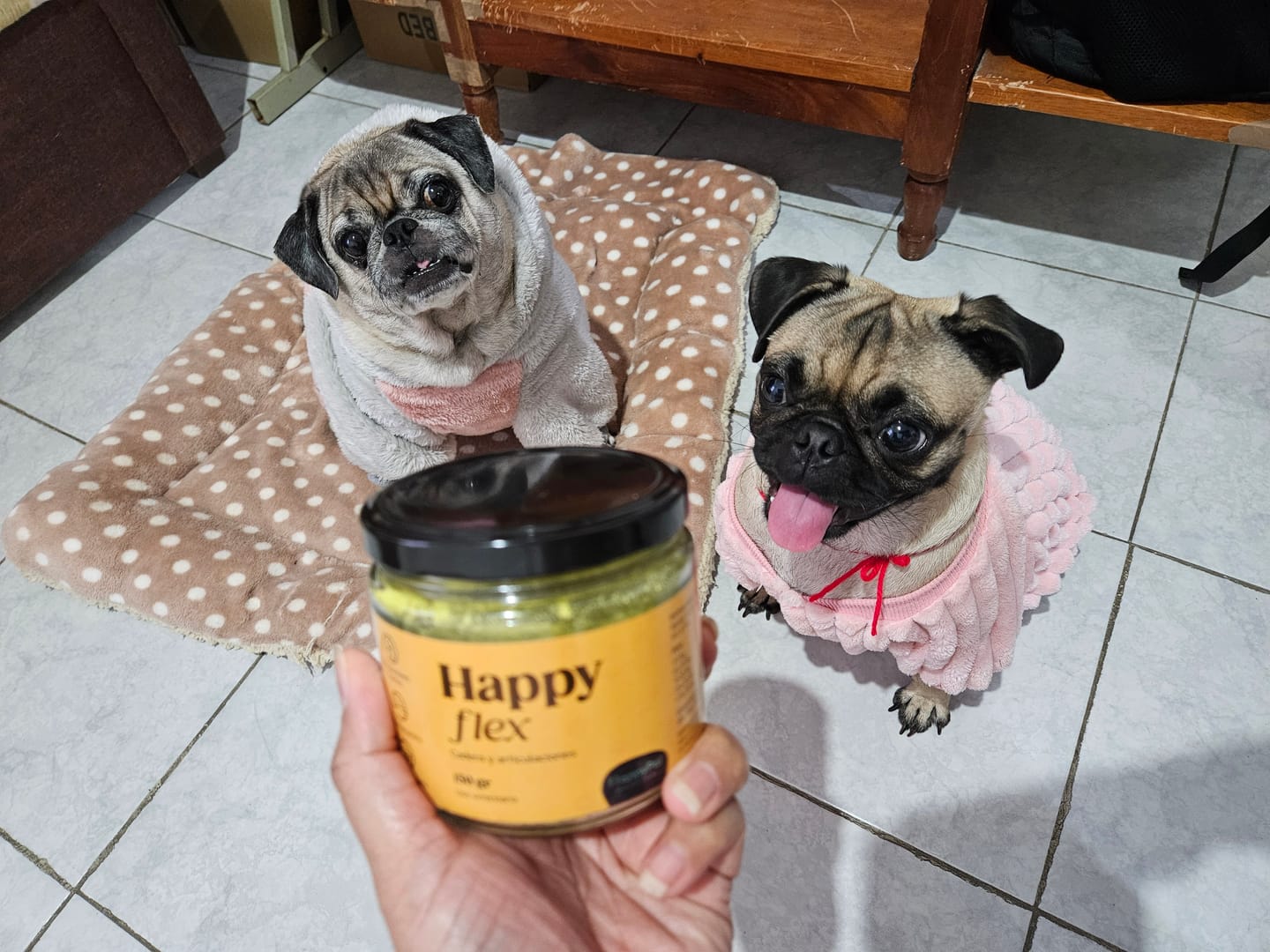 Customer photo review of Happy Flex I  Anti Inflamatorio Para Perros y Gatos. Articulaciones, huesos y cadera