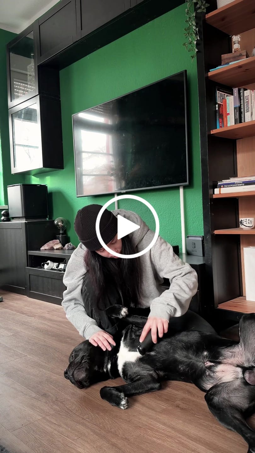 Customer video review of Hundstaff Pack Fur Comb - Hundkamm
