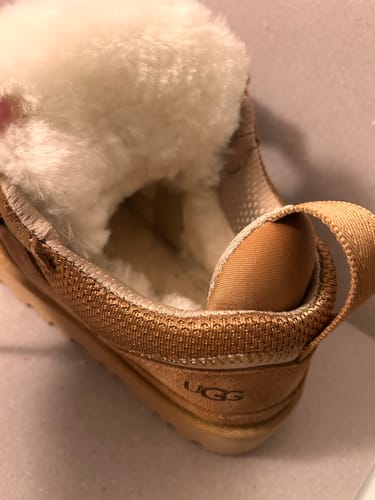 Customer photo review of UGG Lowmel "Chestnut"