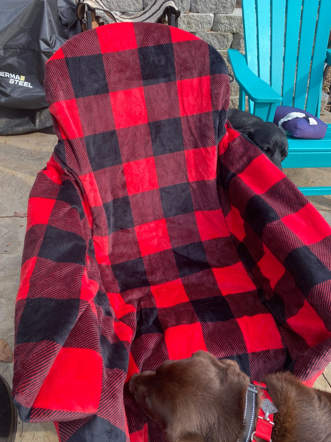 Customer photo review of The Chair Blanket