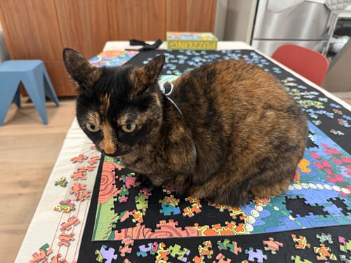 Customer photo review of Sunday Morning | 1000 Piece Puzzle