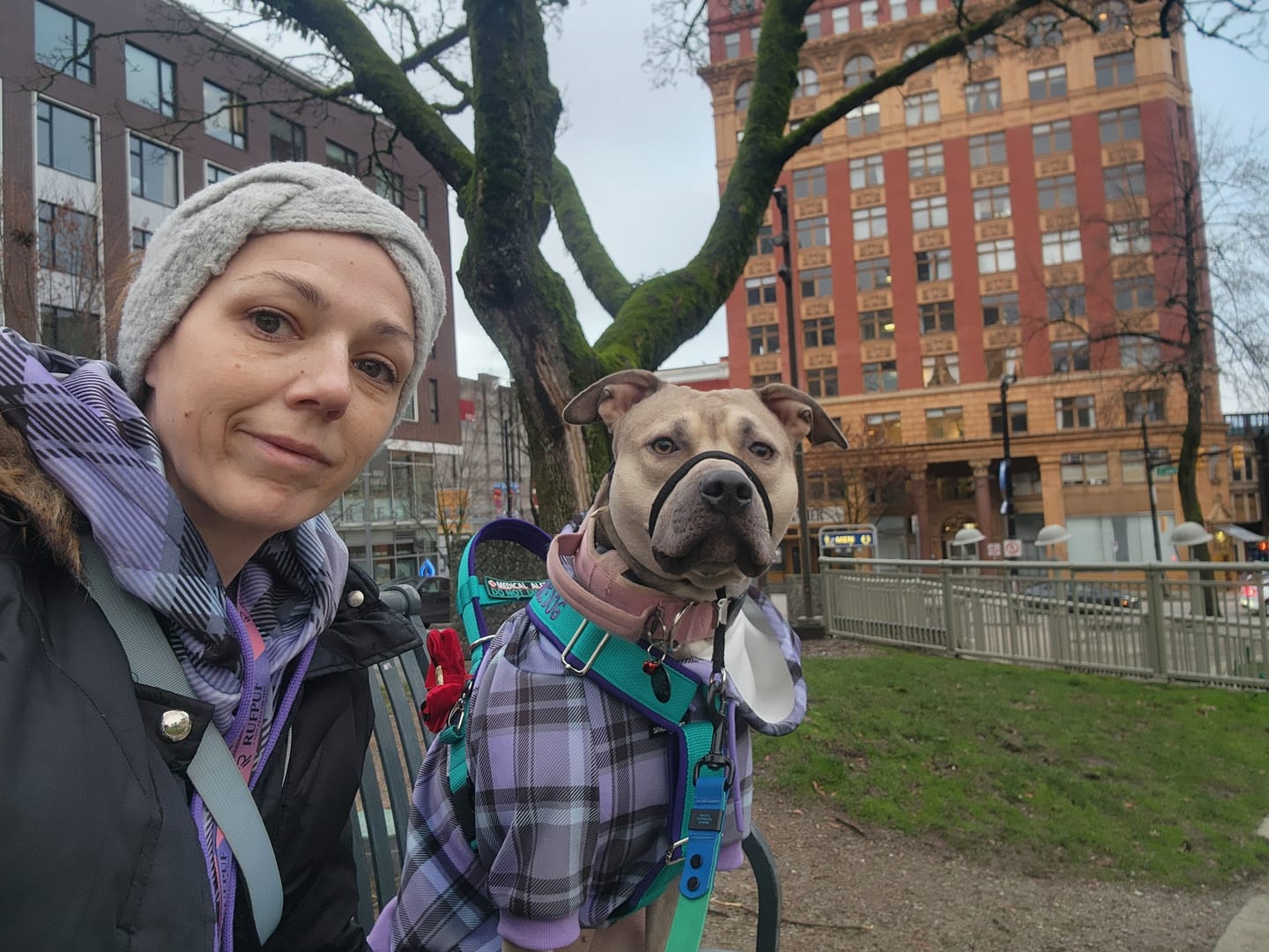Customer photo review of Purple Plaid Human Hoodie