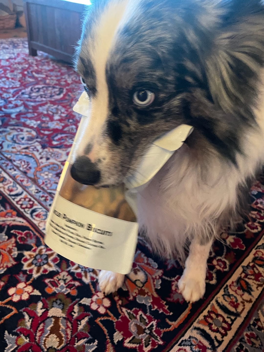 Customer photo review of Antler Pumpkin Biscuits