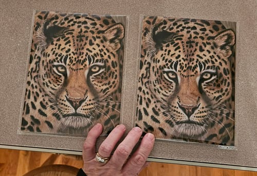 Customer photo review of 6x8 Mounted Prints