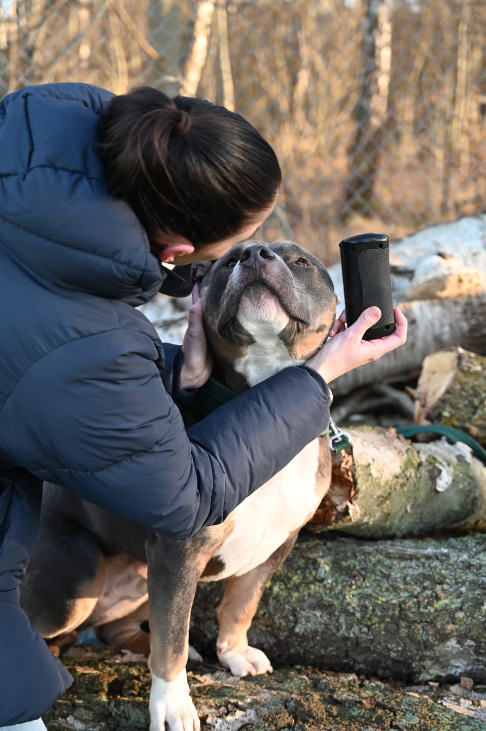 Customer photo review of Hundstaff Pack Fur Comb - Hundkamm