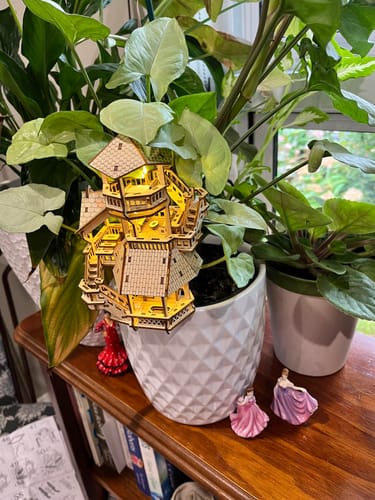 Customer photo review of Forest Cottage