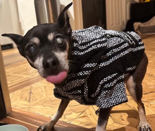 Customer photo review of Free & Easy Return or Exchange Coverage + Package Protection