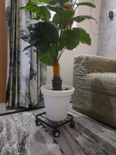 Customer photo review of United Crafts Liva Wheel Pot Stands for Planters