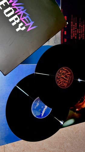 Customer photo review of VINYL RECORDS - LANA DEL REY