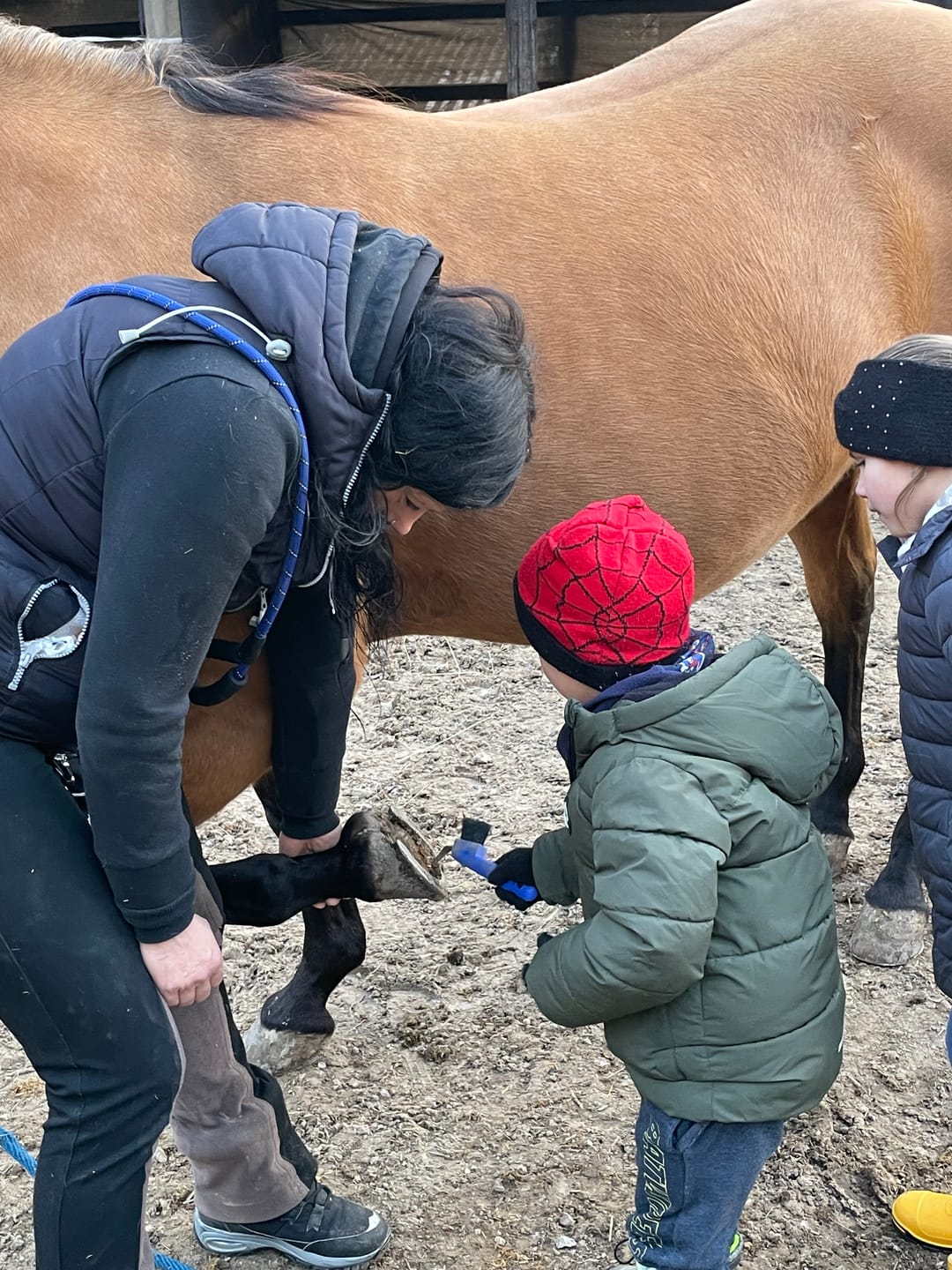 Customer photo review of Edubini Gefunden! Outdoor Suchspiel für Kinder