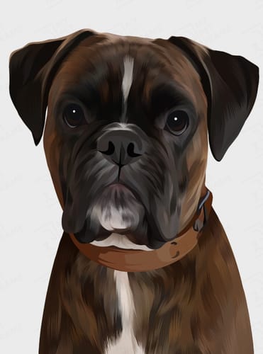 Customer photo review of Realistisch Portret