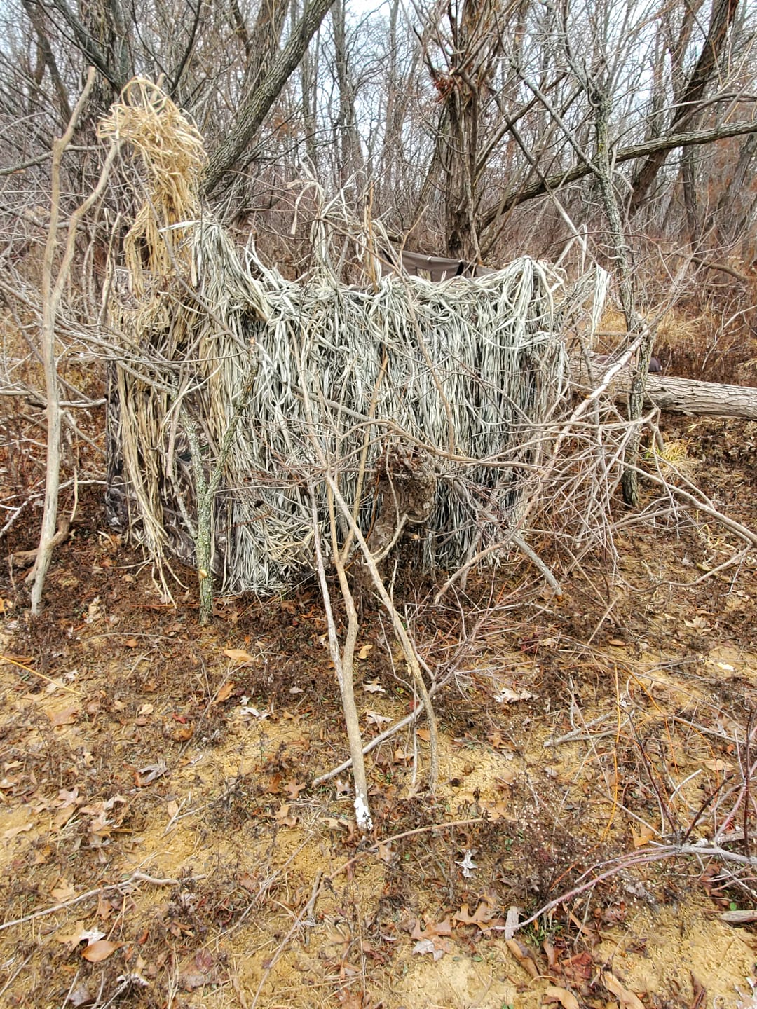 Customer photo review of Modular Panel Hunting Blind | A-Frame Pop Up Duck & Goose Blinds | Portable 3-4 Person Waterfowl Ground Blind Camo