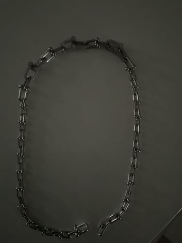 Customer photo review of HARDWEAR NECKLACE DIAMOND PAVED