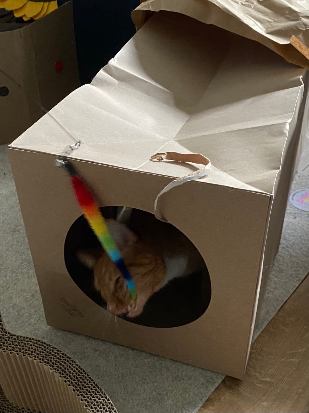 Customer photo review of Silly Stix