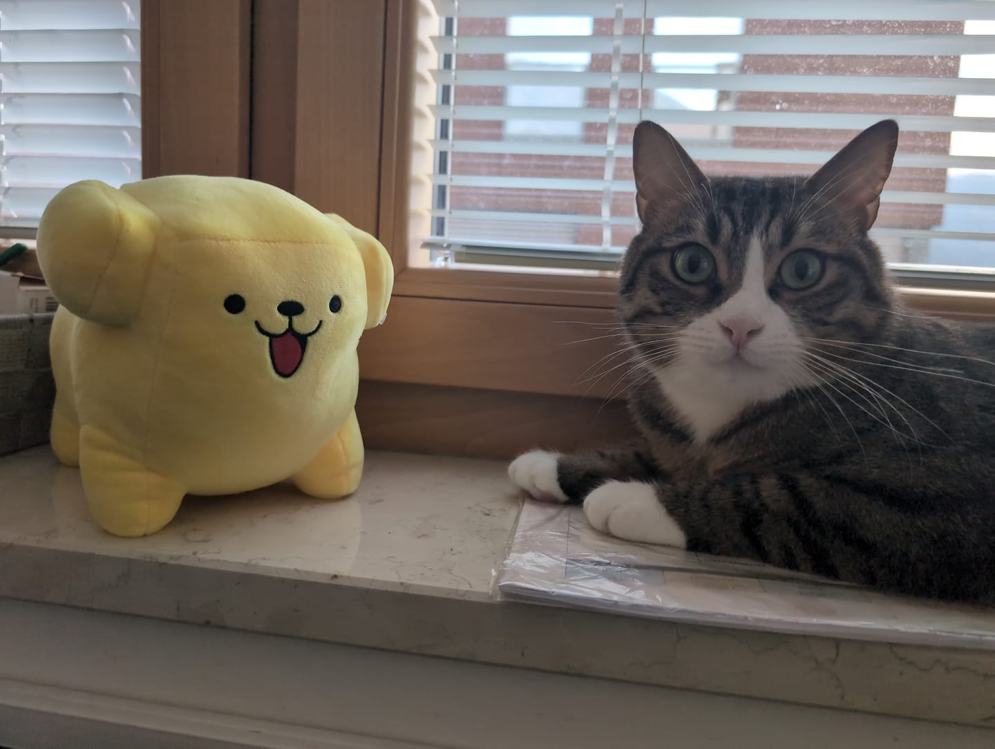 Customer photo review of Peluche Fufos + Albo Fumetti e Risate!