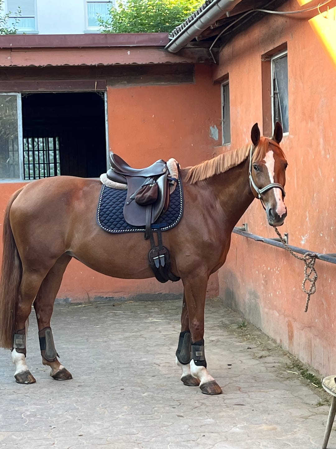 Customer photo review of MUSTAX Nervenstabil