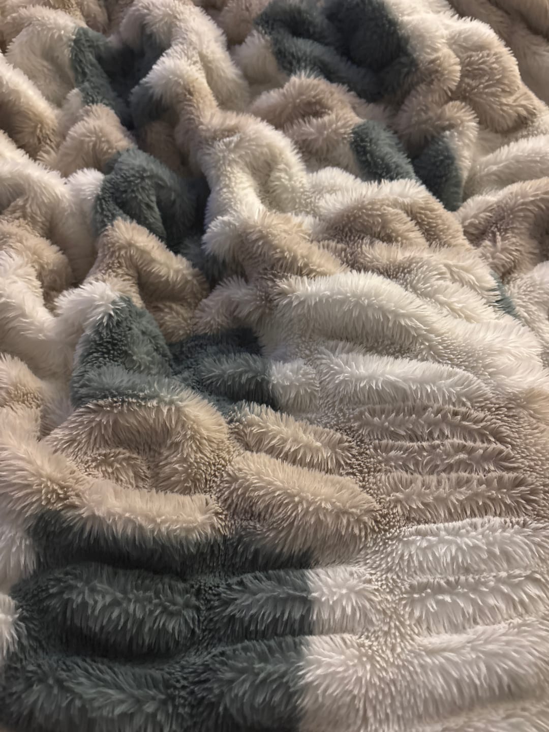 Customer photo review of Cozy Harvest