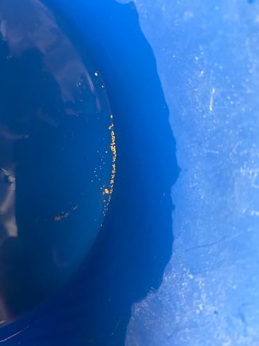 Customer photo review of 6 Inch Backpack highbanker - Gold Rat