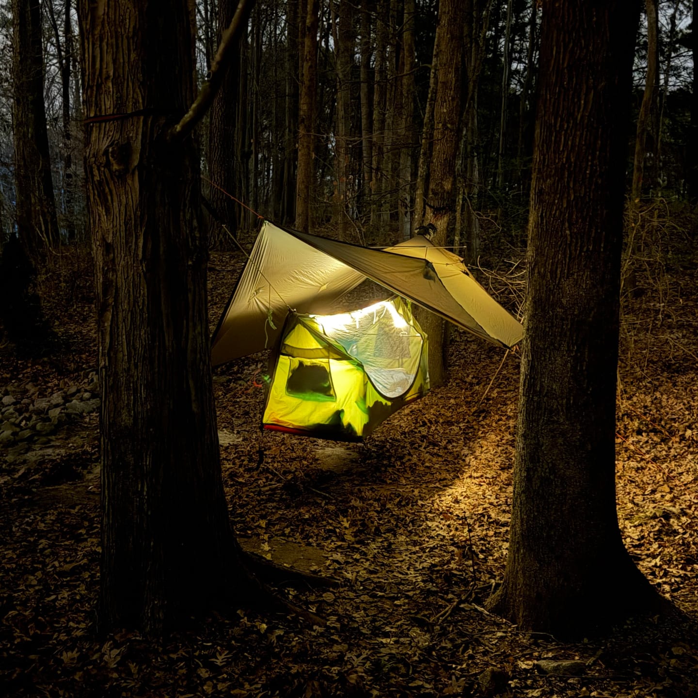 Customer photo review of Haven XL (Second | Hammock)