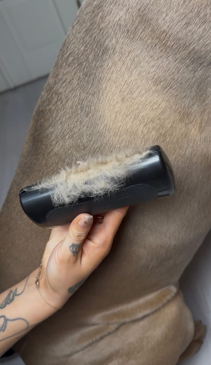 Customer photo review of Hundstaff Pack Fur Comb - Hundkamm