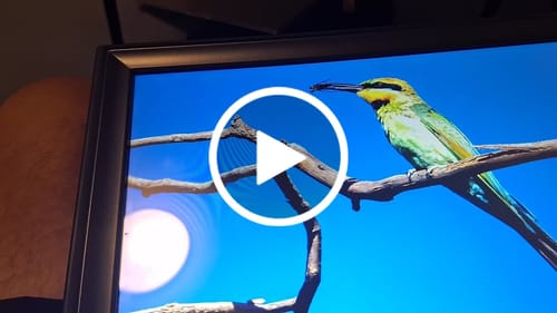 Customer video review of Digital Photo Frame