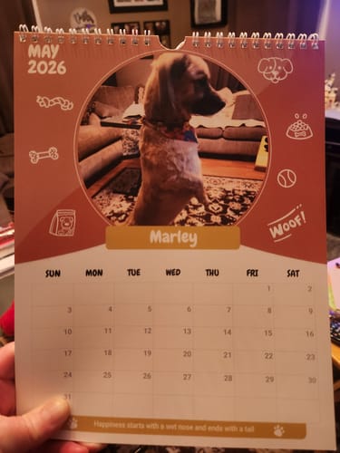 Customer photo review of Official Pupvote Cutest Pets of the Year Calendar (2026)