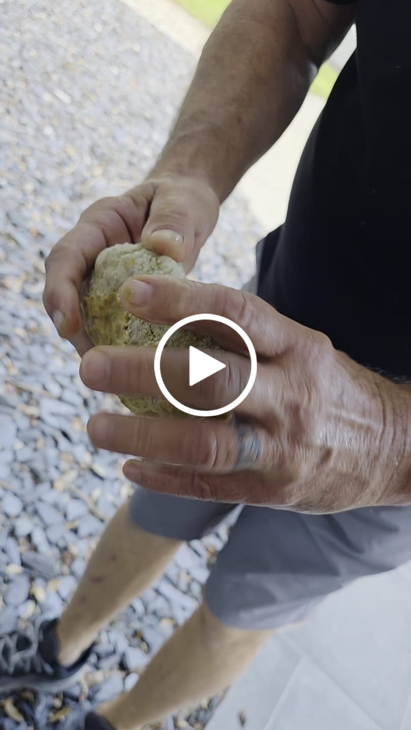 Customer video review of Gallon Bucket of Quartz Geodes