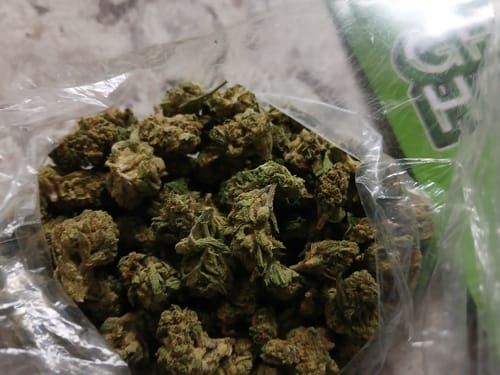 Customer photo review of Jet Fuel Gelato - Minis - 28 Grams - Indica