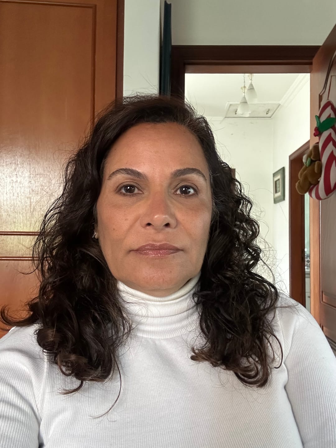 Customer photo review of Lapiseira Para Olhos Marrom – Cat Lovers – Vizzela
