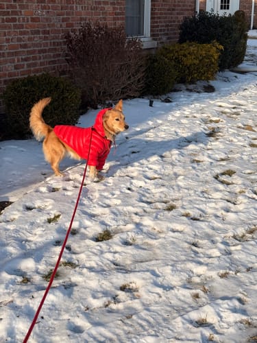 Customer photo review of Puffer Jacket