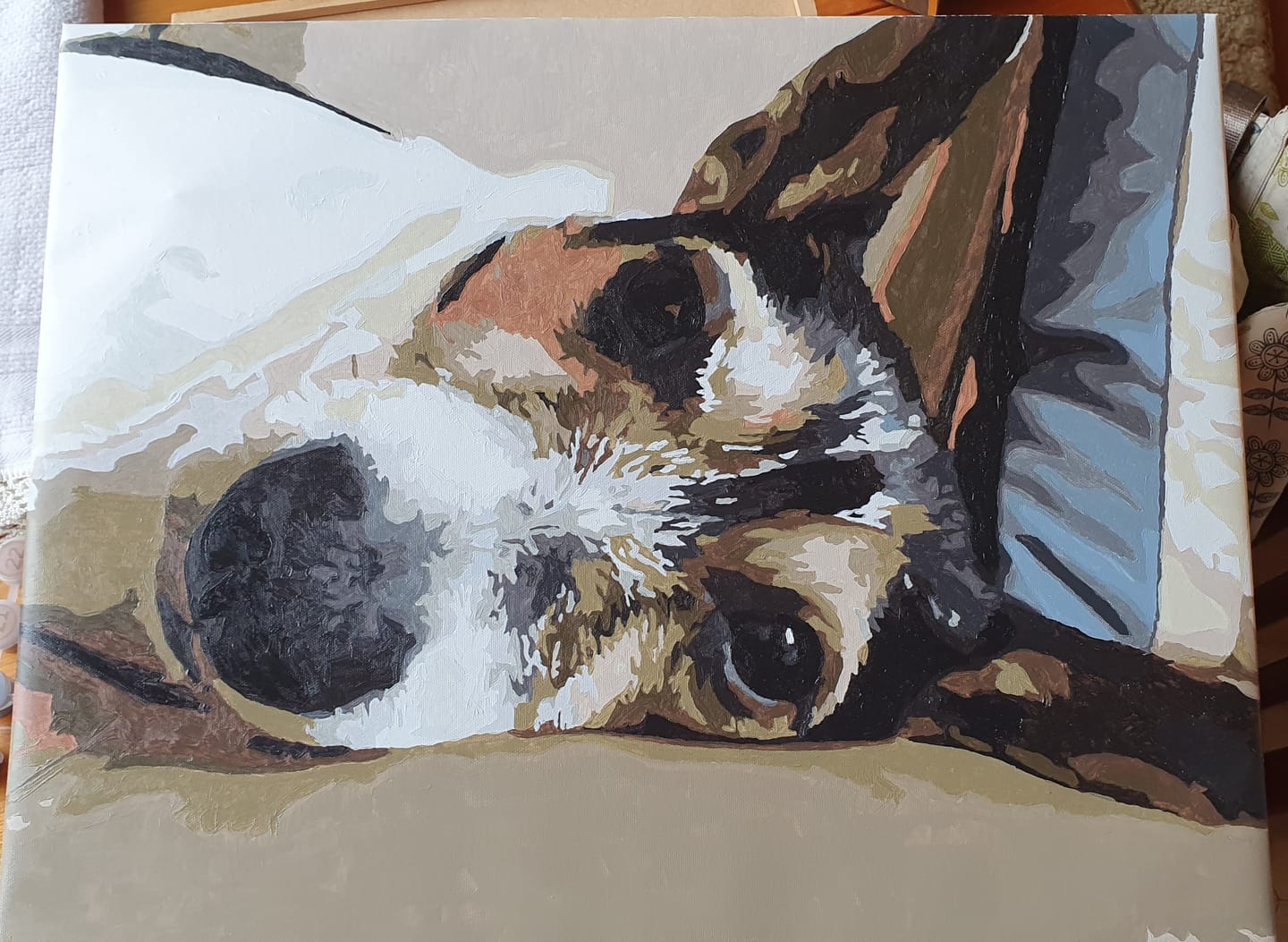 Customer photo review of Custom Pet Portrait – Paint by Numbers