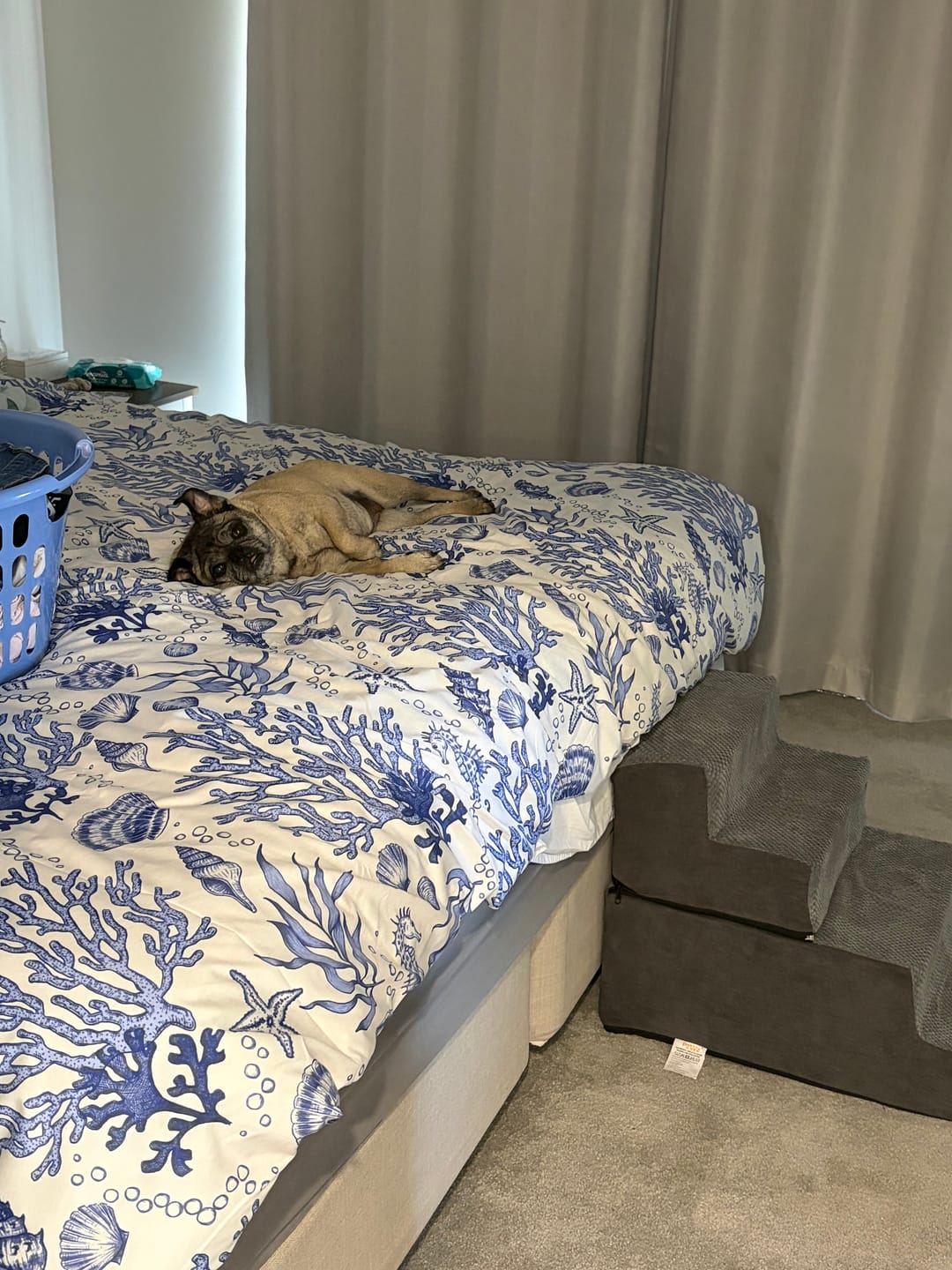Customer photo review of Non-Slip Foam Pet Stairs