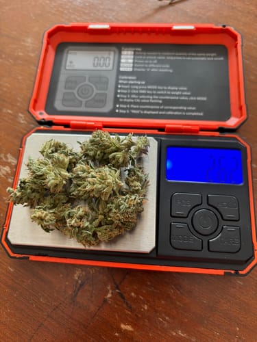 Customer photo review of HHZ Blüte - Northern Lights