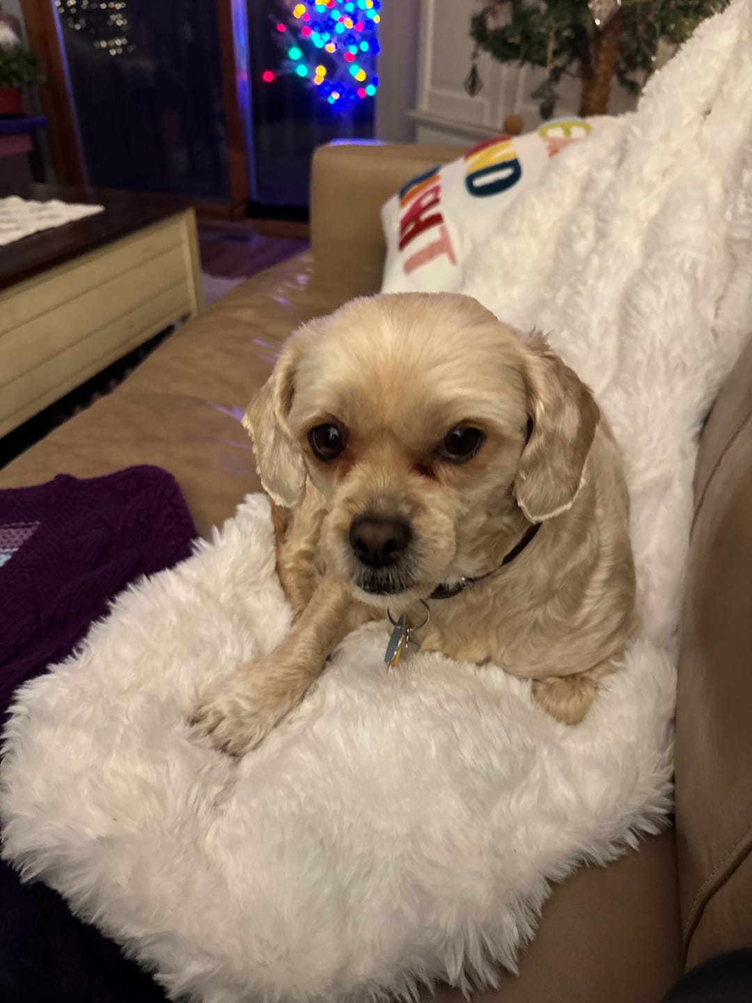 Customer photo review of Nordic Cozy Blanket