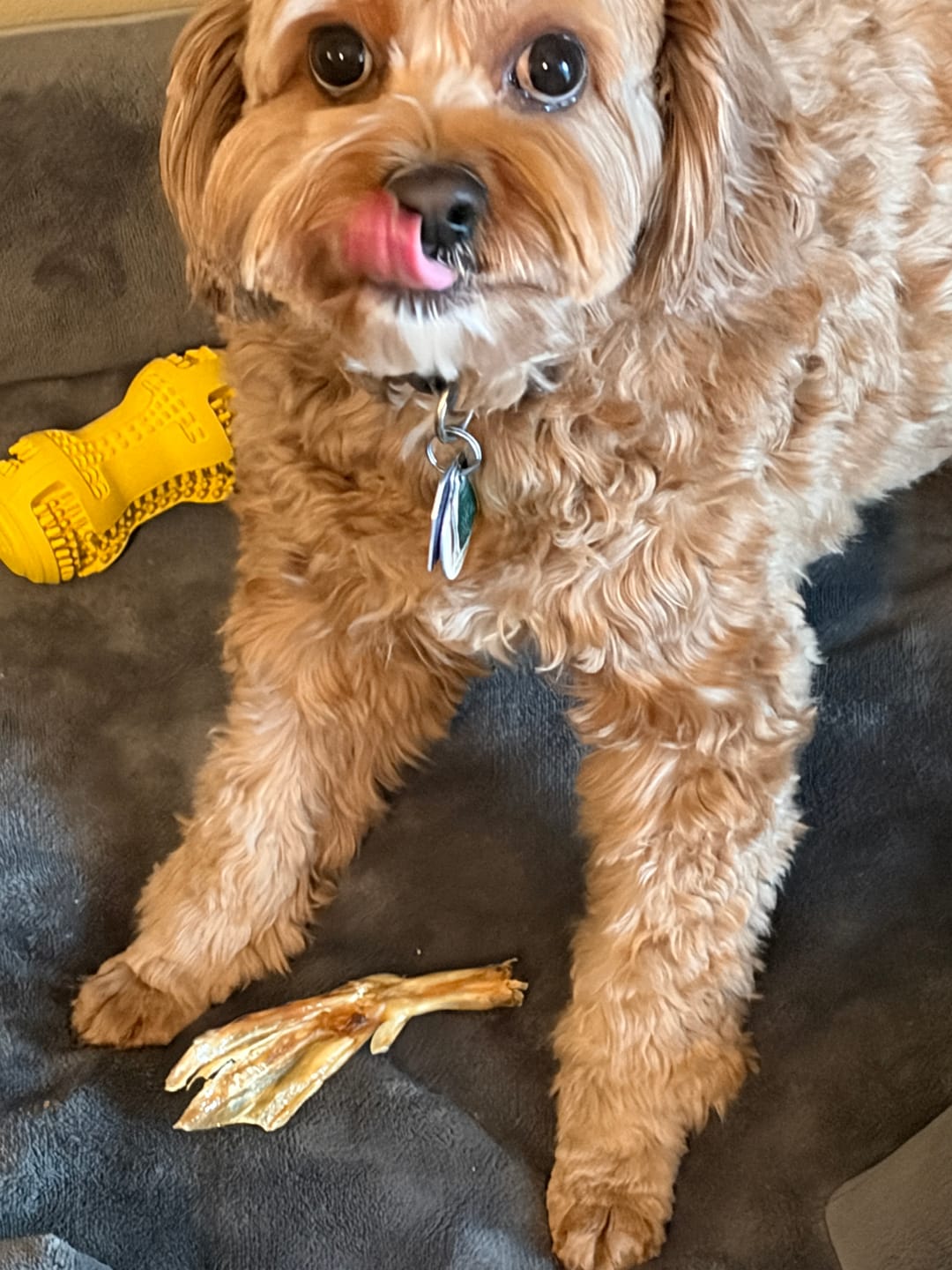 Customer photo review of Duck Feet