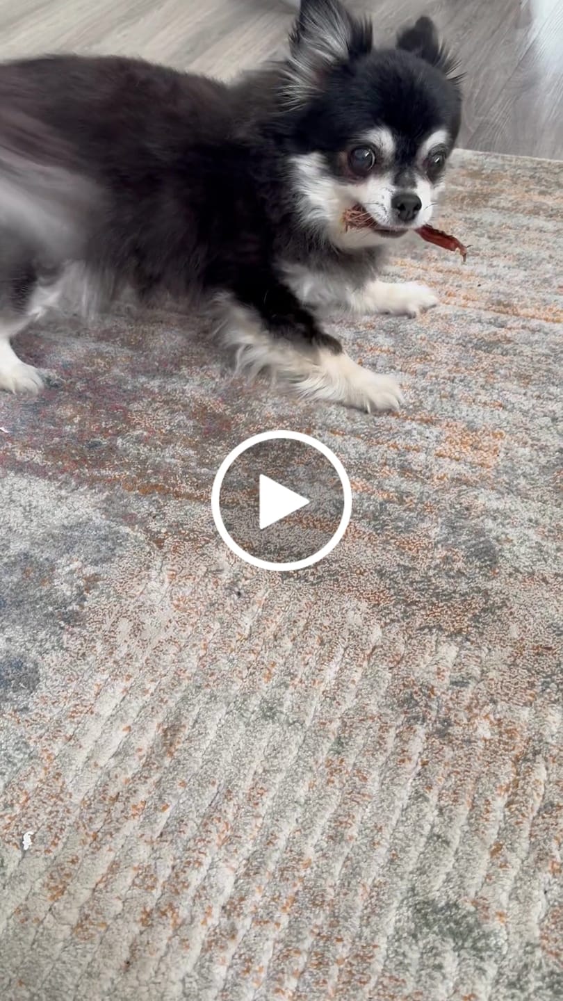 Customer video review of Roo Tendons
