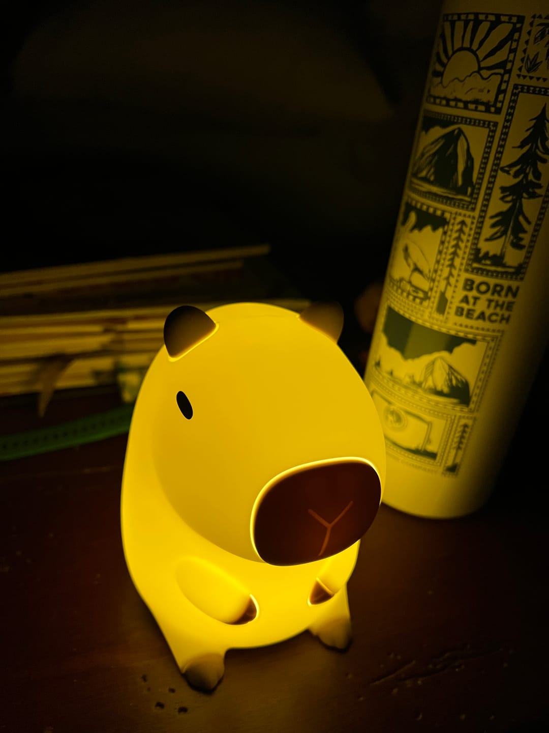 Customer photo review of MeWaii® Capybara Squishy Night Light - Perfect Gift 🎁