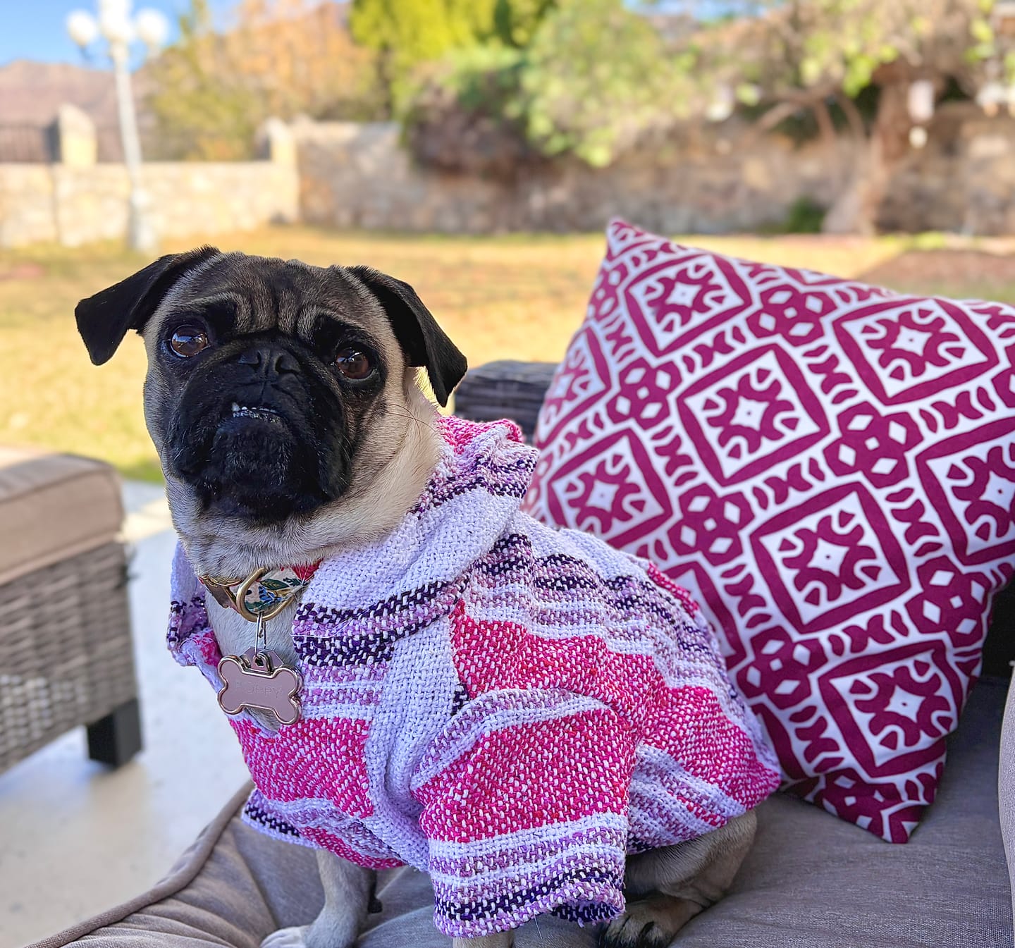 Customer photo review of Playa Poncho – Mystery Color (Bella, Charlie, or Fun Edition)